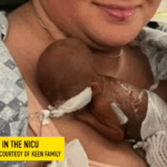 Meet The Keen Family